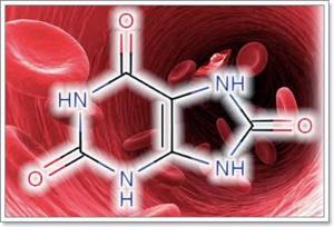 МОЧЕВИНА В КРОВИ: [что это, причины повышения или понижения]