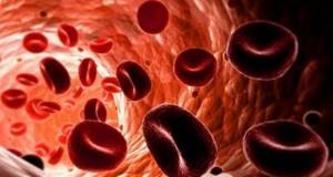 Норма эритроцитов в крови у детей: таблица по возрастам, причины отклонения