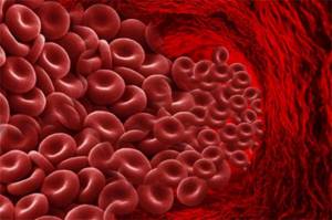 Норма эритроцитов в крови – сколько должно быть?