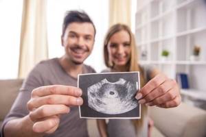 На каком сроке видно беременность на УЗИ?