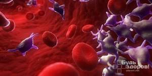 Расшифровка mpv в анализе крови: нормы и что делать если повышен?