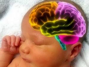 УЗИ головного мозга у грудничка и новорожденных детей: нормы, расшифровка