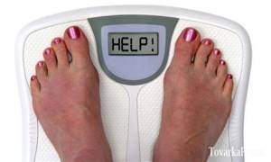 Ганодерма для похудения: отзывы реальных людей, где купить?