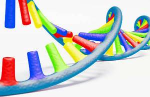 Фрагментация ДНК сперматозоидов: что это такое, методы исследования